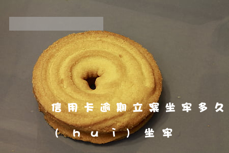 信用卡逾期立案坐牢多久(信用卡逾期幾年會(huì)坐牢嗎)