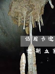 信用卡逾期立案多少錢(qián)(信用卡逾期立案多少錢(qián)一年)