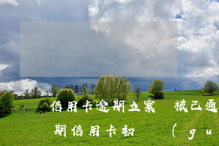 信用卡逾期立案審核已通過(guò)(有逾期信用卡初審過(guò)了)