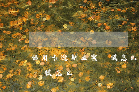 信用卡逾期立案審核怎么辦(信用卡逾期立案審核怎么辦)