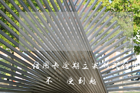 信用卡逾期立案形式(信用卡逾期案件受理后會不會受到起訴書)
