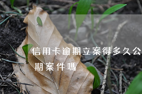 信用卡逾期立案得多久(公安局受理信用卡逾期案件嗎)