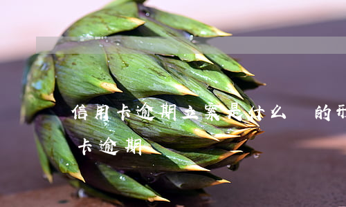 信用卡逾期立案是什么樣的形式(怎么叫信用卡逾期)