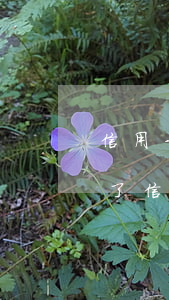 信用卡逾期立案會(huì)被抓么-被抓了信用卡逾期