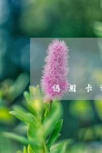 信用卡逾期立案有案底嗎