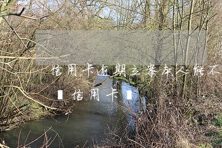信用卡逾期立案本人能不去嗎(逾期的人可以辦信用卡嗎)