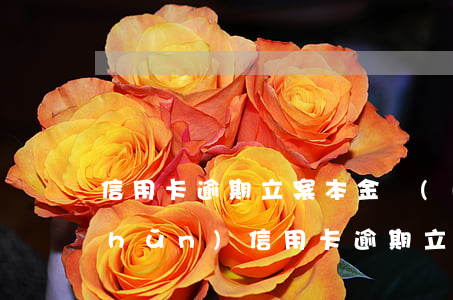 信用卡逾期立案本金標(biāo)準(zhǔn)(信用卡逾期立案本金標(biāo)準(zhǔn)是多少)
