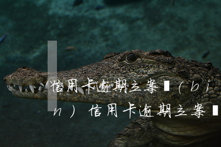 信用卡逾期立案標(biāo)準(zhǔn)(信用卡逾期立案標(biāo)準(zhǔn)5萬(wàn)是本金嗎)