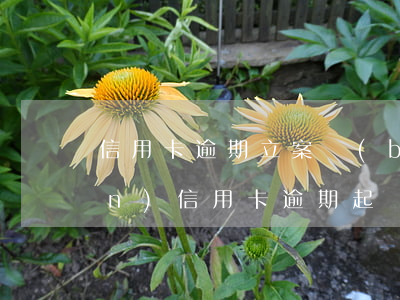 信用卡逾期立案標(biāo)準(zhǔn)(信用卡逾期起訴標(biāo)準(zhǔn))