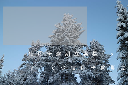 信用卡逾期立案標(biāo)準(zhǔn)多少(信用卡逾期立案標(biāo)準(zhǔn)多少錢)