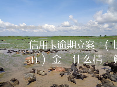 信用卡逾期立案標(biāo)準(zhǔn)金額 什么情況算信用卡逾期