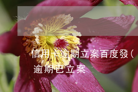 信用卡逾期立案百度(發(fā)短信信用卡逾期已立案)