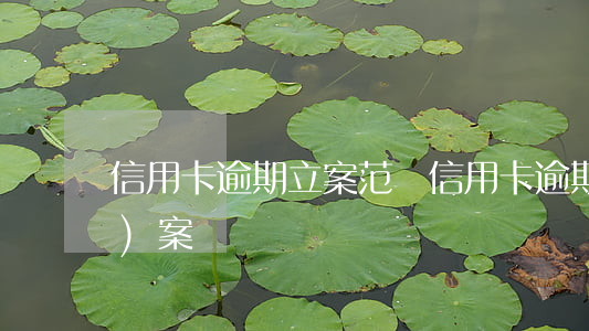 信用卡逾期立案范圍(信用卡 逾期 報(bào)案)