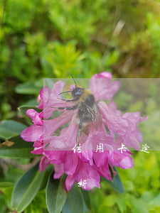 信用卡逾期立案貼吧 信用卡逾期立案貼吧最新