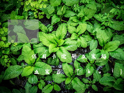 信用卡逾期立案起訴條件(信用卡逾期被起訴立案后會(huì)拘留嗎)