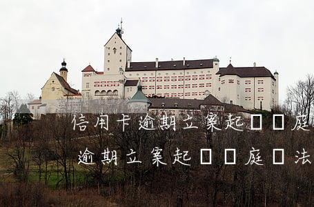 信用卡逾期立案起訴開庭無法到庭-信用卡逾期立案起訴開庭無法到庭怎么辦
