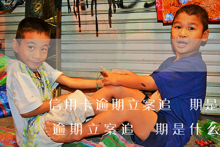 信用卡逾期立案追訴期是什么意思?-信用卡逾期立案追訴期是什么意思啊