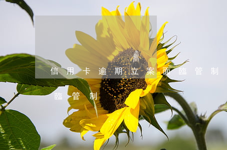 信用卡逾期立案面臨管制(信用卡逾期立案面臨管制)