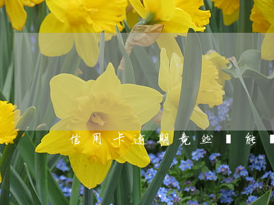 信用卡逾期竟然還能辦信用卡