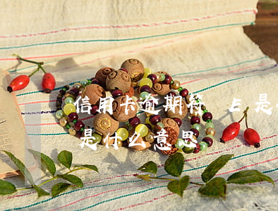 信用卡逾期符號E是什么意思(信用卡e支付是什么意思)
