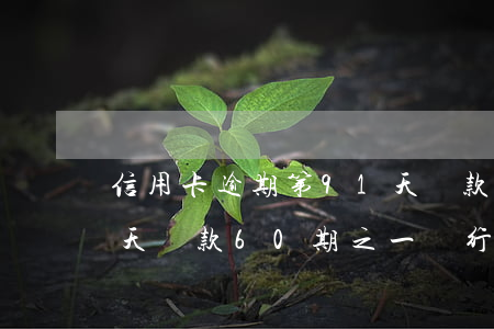 信用卡逾期第91天還款(信用卡逾期第91天還款60期之一銀行會起訴嗎?)