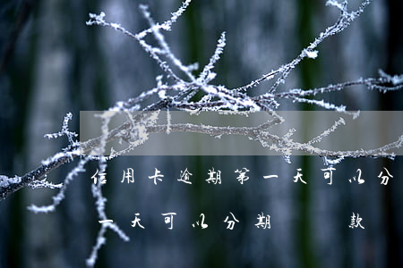 信用卡逾期第一天可以分期嗎(信用卡逾期第一天可以分期嗎還款嗎)