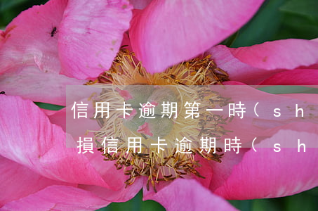 信用卡逾期第一時(shí)間為什么要止損 信用卡逾期時(shí)間