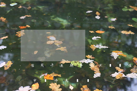信用卡逾期第一次掛賬(信用卡逾期多久可以申請停息掛賬)