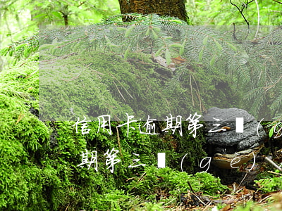信用卡逾期第三個(gè)月還了(信用卡逾期第三個(gè)月還了)