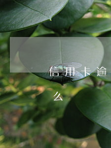 信用卡逾期第三天了(信用卡3萬逾期半年怎么辦)