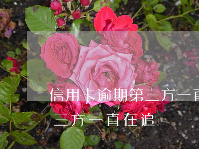 信用卡逾期第三方一直在追討(信用卡逾期第三方一直在追討)