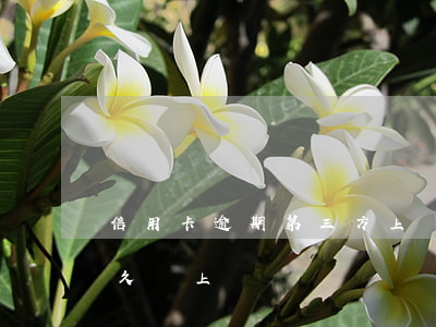 信用卡逾期第三方上門備案(信信用卡逾期多久會上門)