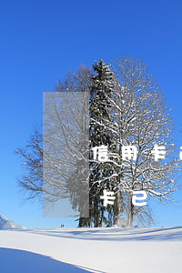 信用卡逾期第三方介入是要坐牢嗎-欠信用卡已經(jīng)到第三方催收了怎么辦?