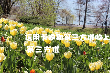 信用卡逾期第三方催收上門簽字(信用卡逾期第三方催賬)