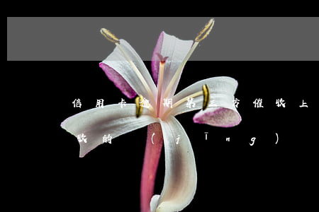 信用卡逾期第三方催收上門簽字(做了三年催收的經(jīng)歷信用卡逾期催收說要上門)