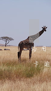 信用卡逾期第三方催收上门取证是啥-信用卡逾期第三方催收上门取证是啥意思