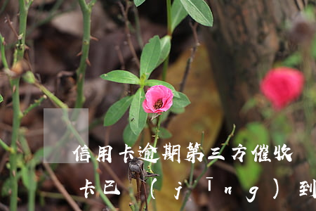 信用卡逾期第三方催收說立案捉我-欠信用卡已經(jīng)到第三方催收了怎么辦?