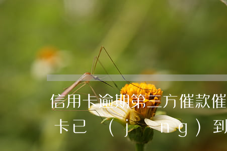 信用卡逾期第三方催款催多長時間-欠信用卡已經(jīng)到第三方催收了怎么辦?