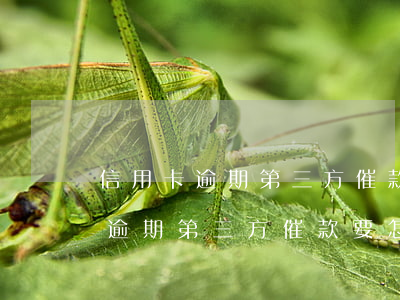 信用卡逾期第三方催款要怎么投訴-信用卡逾期第三方催款要怎么投訴呢