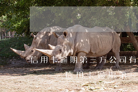 信用卡逾期第三方公司有權(quán)起訴嗎-信用卡逾期第三方公司有權(quán)起訴嗎知乎
