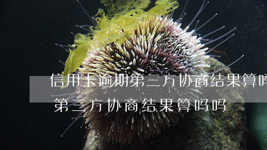 信用卡逾期第三方协商结果算吗(信用卡逾期第三方协商结果算吗吗)