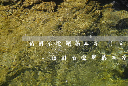 信用卡逾期第三方協(xié)商分期可信嗎-信用卡逾期第三方協(xié)商分期可信嗎?
