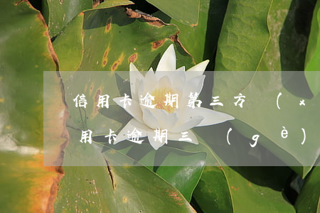 信用卡逾期第三方協(xié)商可信嗎(信用卡逾期三個(gè)月協(xié)商不成)