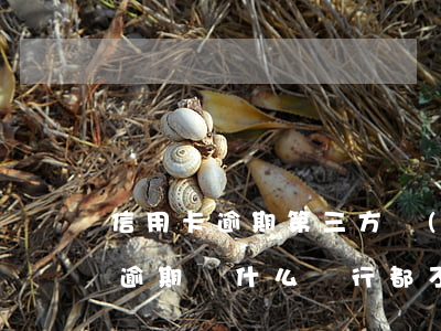 信用卡逾期第三方協(xié)商可靠嗎-逾期為什么銀行都不出來協(xié)商都是第三方
