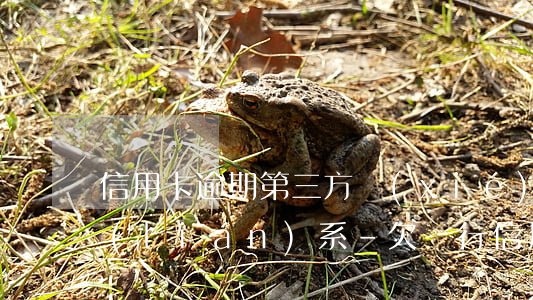 信用卡逾期第三方協(xié)商銀行不聯(lián)系-欠銀行信用卡第三方協(xié)商還本金不承認