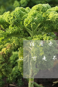 信用卡逾期第三方壞嗎(信用卡逾期交給第三方是不是銀行就不管了)
