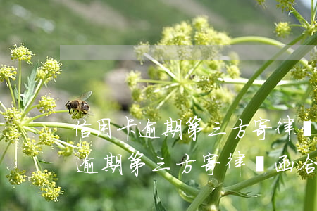 信用卡逾期第三方寄律師函合法嗎-信用卡逾期第三方寄律師函合法嗎安全嗎