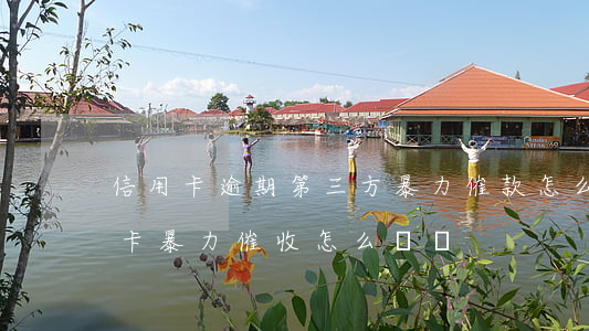 信用卡逾期第三方暴力催款怎么辦-被信用卡暴力催收怎么舉報