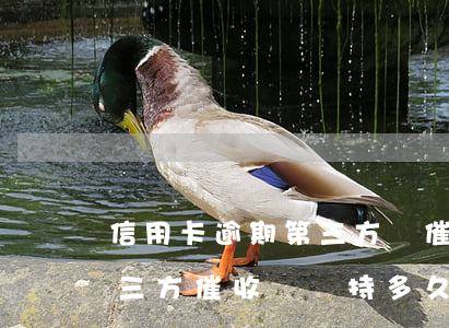 信用卡逾期第三方會催收多久(信用卡逾期第三方催收會維持多久)