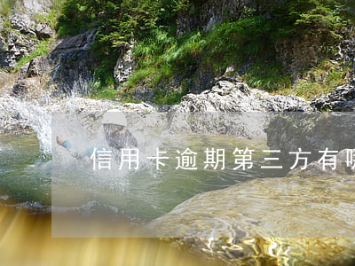 信用卡逾期第三方有哪些責(zé)任